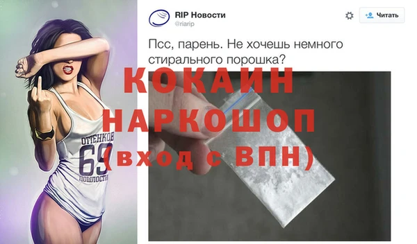стаф Аркадак