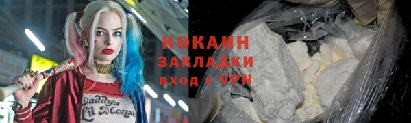 стаф Аркадак