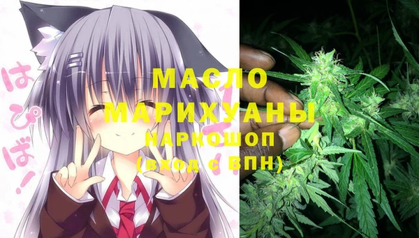стаф Аркадак