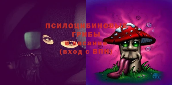 мескалин Арсеньев