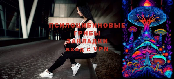 стаф Аркадак
