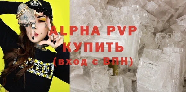 стаф Аркадак